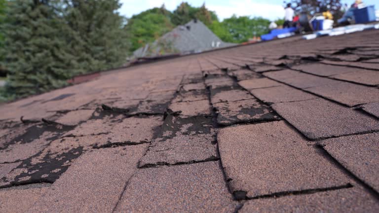Best Cold Roofs  in Double Springs, AL