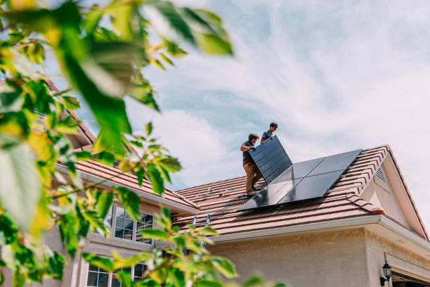 Best Roof Moss and Algae Removal  in Double Springs, AL