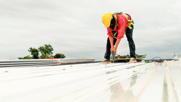 Best Skylight Installation and Repair  in Double Springs, AL