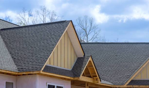 Best Solar Panel Roofing Installation  in Double Springs, AL