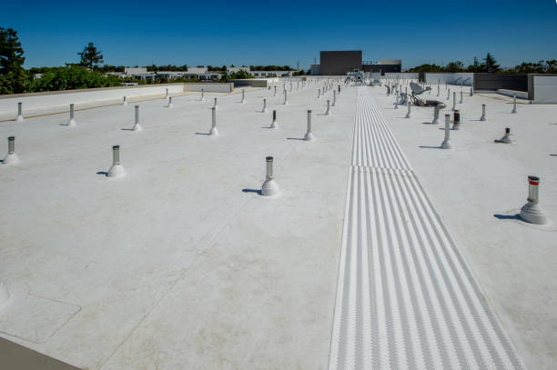 Best Storm Damage Roof Repair  in Double Springs, AL